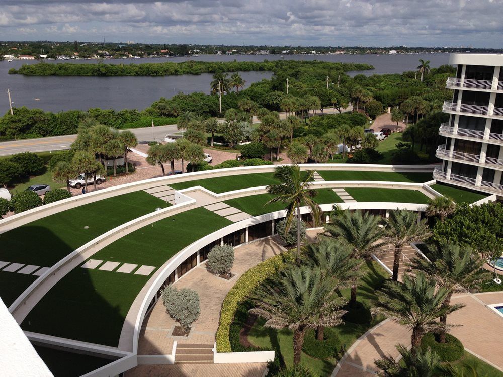 artificial turf with a river and palm trees near it